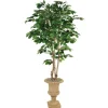5' Green Ficus Tree in Tan Finish Resin Classic Urn