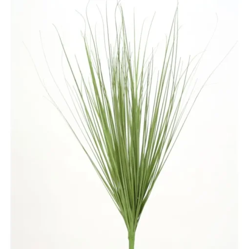 25"/20" Green Grass Pick   (Set of 12)