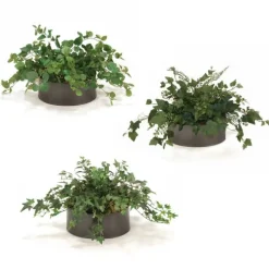 Greenery Assortment Set of 3 in Bronze Container