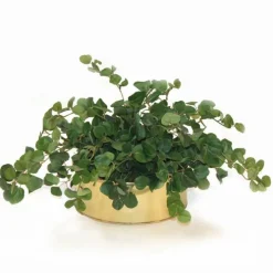 Greenery Assortment Set of 3 in Bronze Container