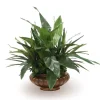 Greenery in Brown Fluted Bowl