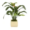 Heliconia Leaf Floor Plant in Square Ivory-Glazed Stoneware