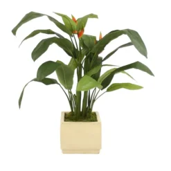 Heliconia Leaf Floor Plant in Square Ivory-Glazed Stoneware