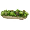 Hen and Chickens with Succulents in Wooden Tray