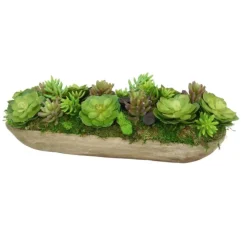 Hen and Chickens with Succulents in Wooden Tray