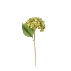 13" Hydrangea Pick Green Brown  (Sold in Multiples of 12)