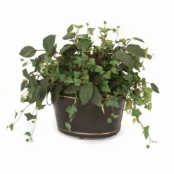 Ivy and Bayleaf in Oval Tole Planter