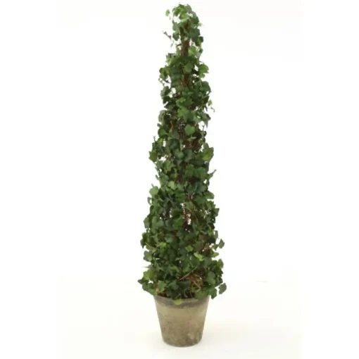 53" Ivy Topiary in An Aged Stone Pot