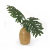Large Philo Leaves in Large Round Jar