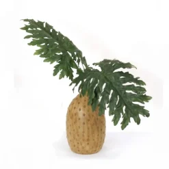 Large Philo Leaves in Large Round Jar
