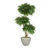 6' Layered Mango in Vertically Ridge Planter