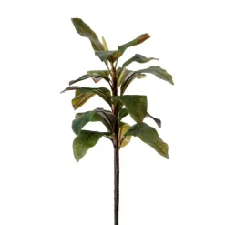 36" Magnolia Branch