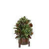 Magnolia Foliage in Wooden Barrell Container