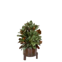 Magnolia Foliage in Wooden Barrell Container