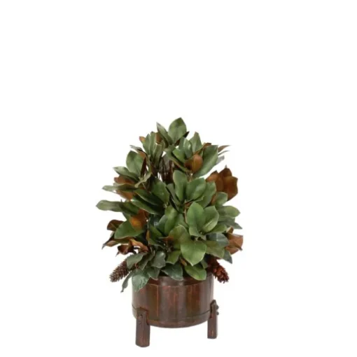 Magnolia Foliage in Wooden Barrell Container