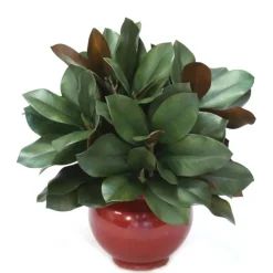 Magnolia in Red Rust Vase