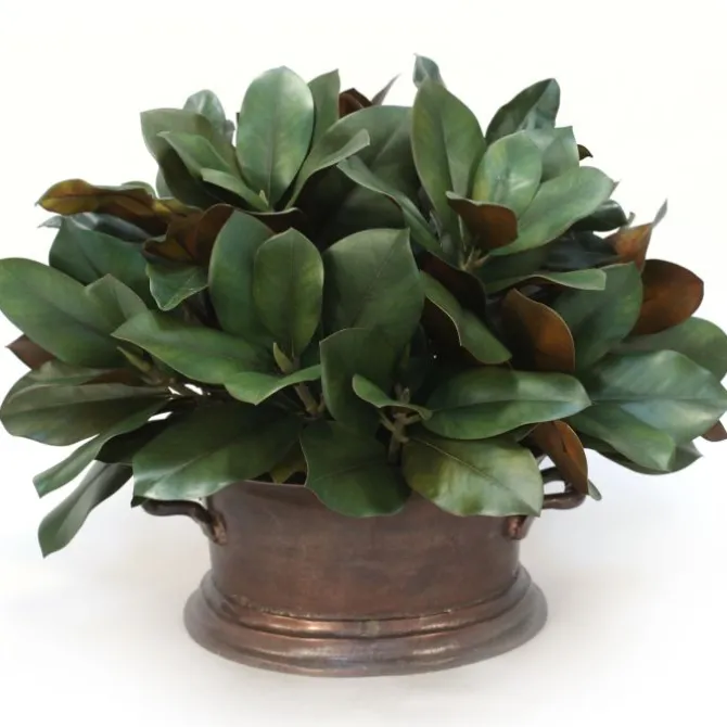 Magnolia in Vintage Copper Pot