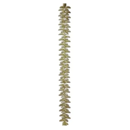 Med Cactus Cluster in Purplegreen   (Set of 24)
