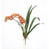 20.5" Mini Cymbidium Plantred Gold (Sold in Multiples of 6)