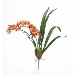 20.5" Mini Cymbidium Plantred Gold (Sold in Multiples of 6)