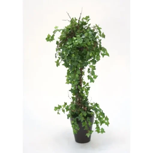 Mini Ivy Topiary in a Stoneware French Pot
