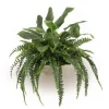 Mixed Greenery with Fern and Bird of Paradise in Bowl