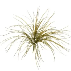 Onion Grass Bush in Olive Green   (Set of 12)