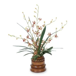 Orchid Foliage in Brown Wooden Vase