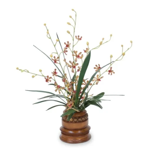 Orchid Foliage in Brown Wooden Vase