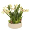 ORCHID WITH SUCCULENT AND GRASS IN GREY PLANTER