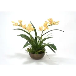 Pale Yellow Cymbidium Orchid Plants with Ferns in Metal Bronze Bowl