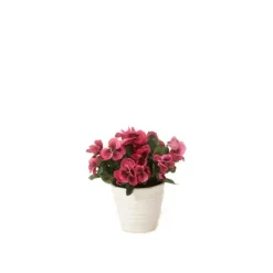 Pansies in White Container
