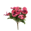 Pansy Bush in Deep Mauve Pink (Sold in Multiples of 12)