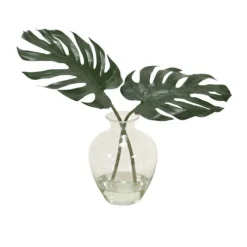 Philodendron Leaf in Glass