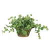 Pilea Greenery in Metal Open Weave Basket