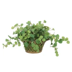Pilea Greenery in Metal Open Weave Basket