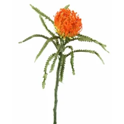 27" Pincushion Spray in Light Orange