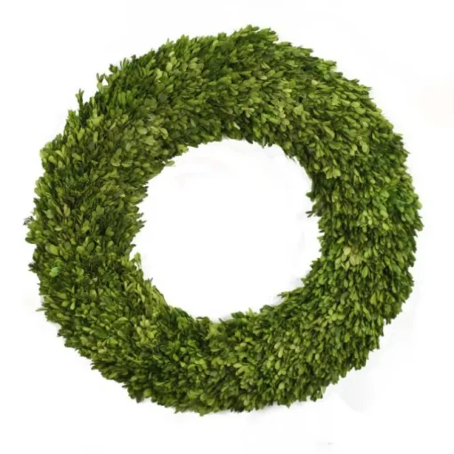 28" Preserved Boxwood Round Wreath