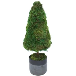 Preserved Moss Topiary in Black Ceramic Planter