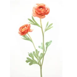 18.5" Ranunculus Stem x 2 - Coral