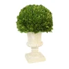 25" Round Boxwood in Taupe Urn