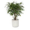 4' Ruscus Tree in Grey Stone Charlie Planter
