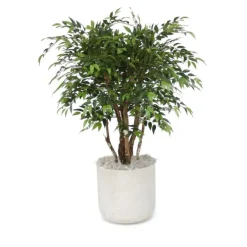 4' Ruscus Tree in Grey Stone Charlie Planter