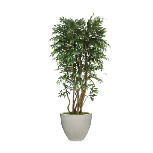 6" Ruscus Tree in Vertical Ridge Light Grey