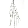 55" Salix Branch with Leaves (Curly Willow) Natural   (Set of 12)