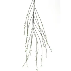 55" Salix Branch with Leaves (Curly Willow) Natural   (Set of 12)