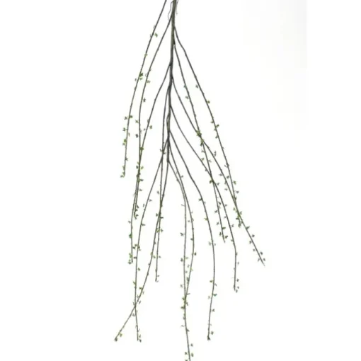 55" Salix Branch with Leaves (Curly Willow) Natural   (Set of 12)