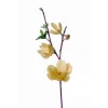 21" Saucer Magnolia in Cream Gold (Sold in Multiples of 6)