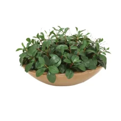 Sculpted Greenery in Round Mocha Glazed Stoneware