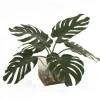 Split Philodendron Leaf in Square Glass